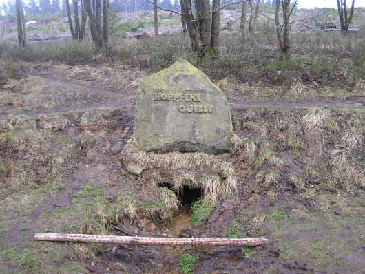 Hoppecke-Quelle am Rande der Niedersfelder Hochheide.